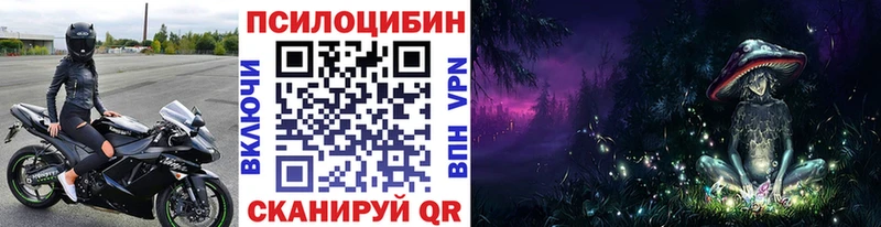 как найти закладки  Стародуб  Псилоцибиновые грибы прущие грибы 